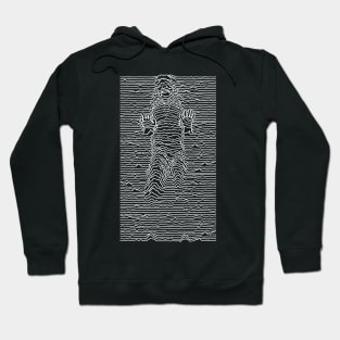 Love Will Tear Us Apart (I Know) Hoodie